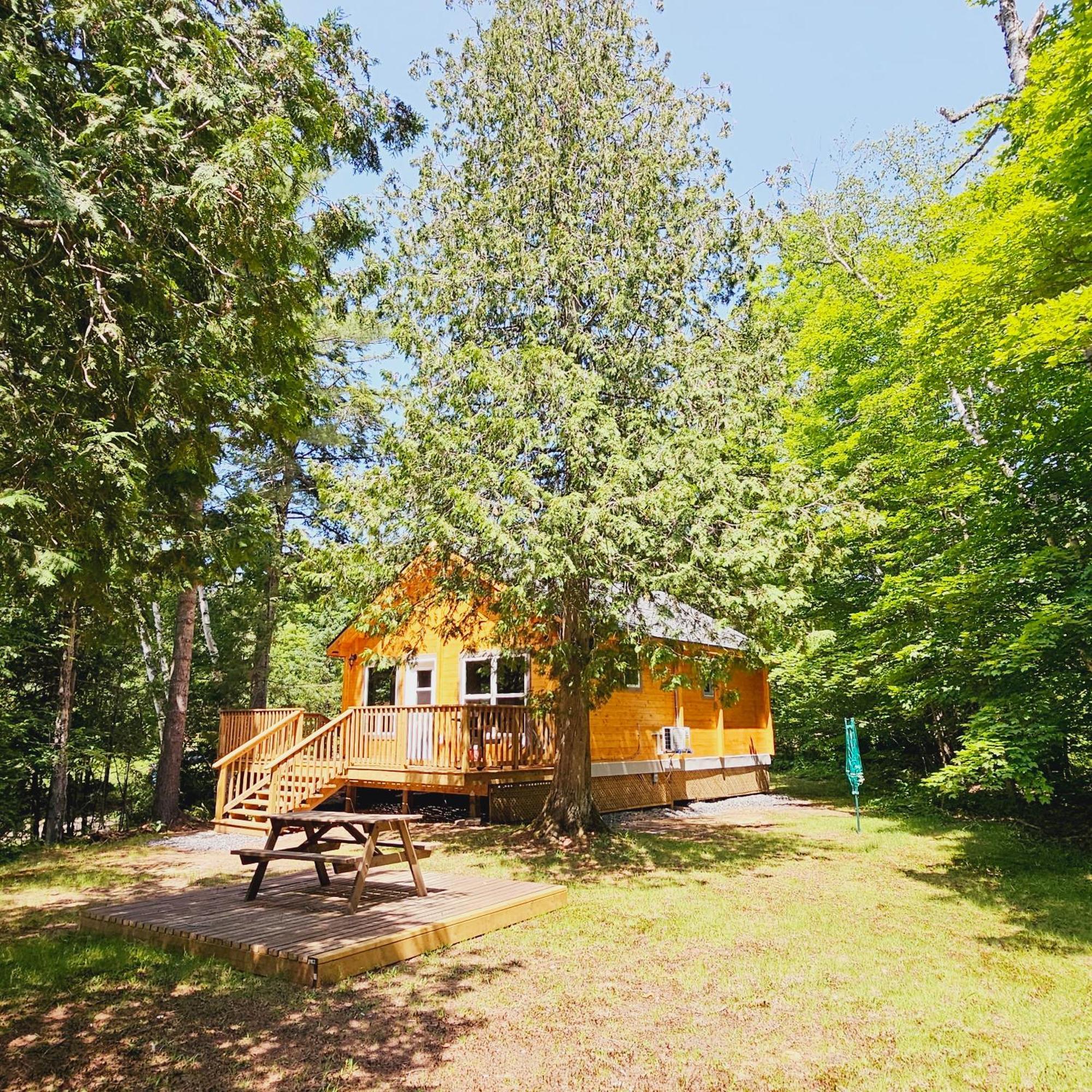 Parkway Cottage Resort And Trading Post Dwight Exterior foto